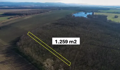 Eladó Mezőgazdasági és erdei telkek, Malacky, Szlovákia