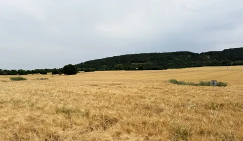 Eladó Mezőgazdasági és erdei telkek, Malacky, Szlovákia