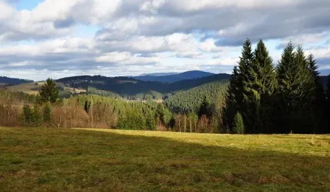 Eladó Mezőgazdasági és erdei telkek, Čadca, Szlovákia