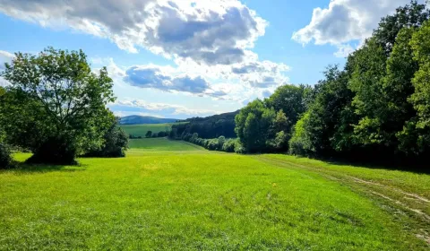 Eladó Mezőgazdasági és erdei telkek, Michalovce, Szlovákia