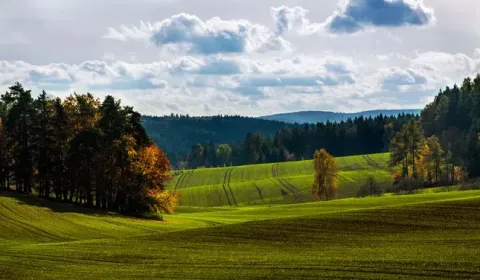 Eladó Mezőgazdasági és erdei telkek, Michalovce, Szlovákia