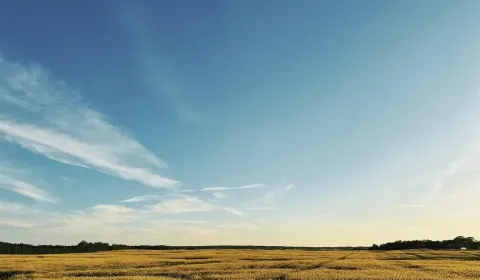 Eladó Mezőgazdasági és erdei telkek, Pezinok, Szlovákia