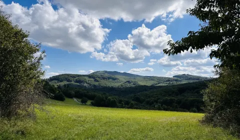Eladó Mezőgazdasági és erdei telkek, Medzilaborce, Szlovákia