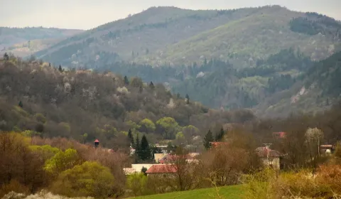 Eladó Mezőgazdasági és erdei telkek, Detva, Szlovákia