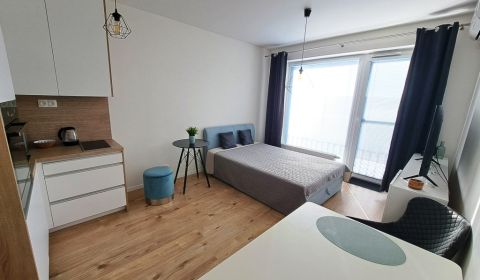 Kiadó 1 szobás lakás, 1 szobás lakás, Fialová, Bratislava - Petržalka,