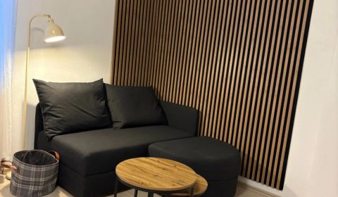 Kiadó 1 szobás lakás, 1 szobás lakás, Trenčianska, Bratislava - Ružino