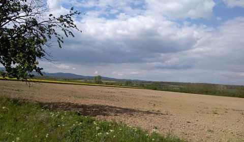 Vásárlás Telkek - kereskedelmi célra, Telkek - kereskedelmi célra, Pez