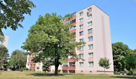 Eladó 3 szobás lakás, 3 szobás lakás, Martina Rázusa, Michalovce, Szlo