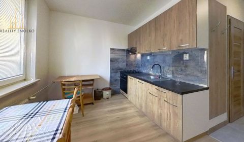 Kiadó 1 szobás lakás, 1 szobás lakás, Vlada Clementisa, Prešov, Szlová