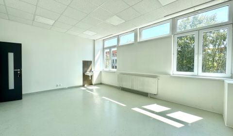Kiadó Üzlethelység, Üzlethelység, Krušovská, Topoľčany, Szlovákia