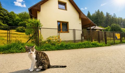 Eladó Családi ház, Családi ház, Čierne, Čadca, Szlovákia
