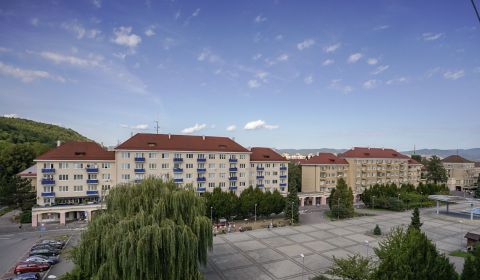 Eladó 2 szobás lakás, 2 szobás lakás, Sad kpt. Nálepku, Ilava, Szlovák
