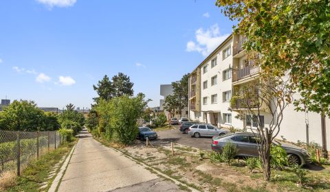 Kiadó 2 szobás lakás, 2 szobás lakás, Matúškova, Bratislava - Nové Mes
