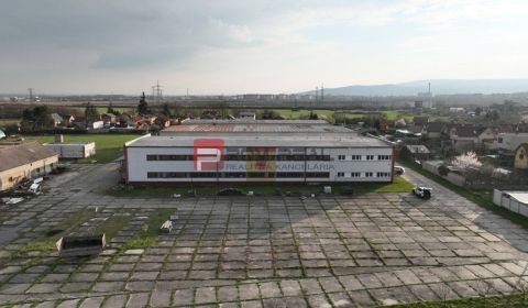 Kiadó Ipari ingatlan, Ipari ingatlan, Pezinská, Pezinok, Szlovákia