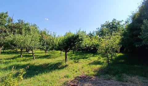 Eladó Építési telek, Építési telek, Nitra, Szlovákia