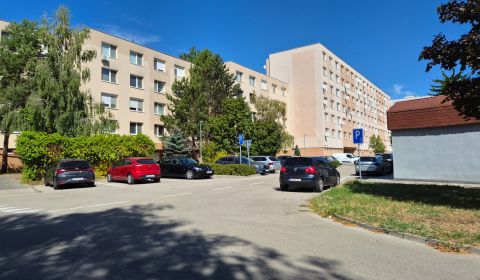 Kiadó 1 szobás lakás, 1 szobás lakás, Bratislavská cesta, Piešťany, Sz
