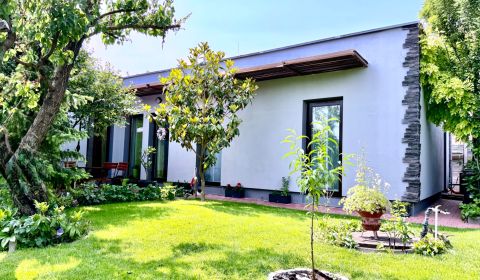 Eladó Családi ház, Családi ház, Dolnomajerská, Senec, Szlovákia