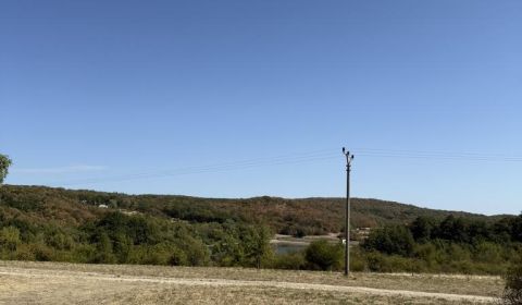 Eladó Mezőgazdasági és erdei telkek, Mezőgazdasági és erdei telkek, Ku
