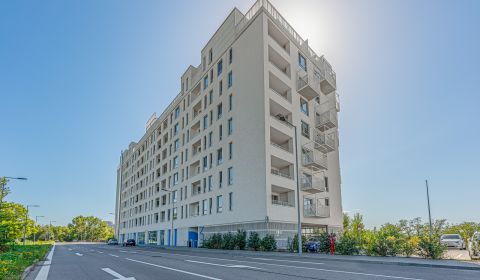 Eladó 2 szobás lakás, 2 szobás lakás, Labutia, Bratislava - Petržalka,