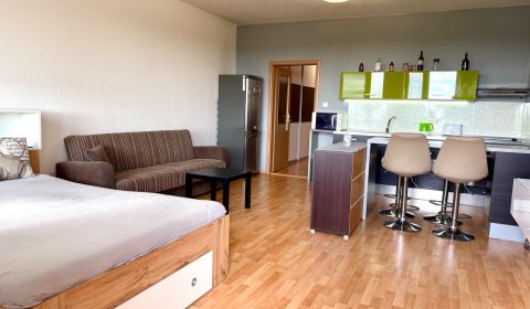 Kiadó 1 szobás lakás, 1 szobás lakás, Vyšehradská, Bratislava - Petrža
