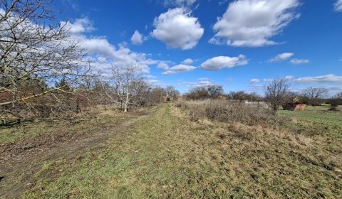 Eladó Építési telek, Építési telek, Športová, Senec, Szlovákia