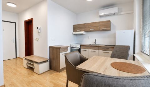 Kiadó 1 szobás lakás, 1 szobás lakás, Nevädzová, Bratislava - Ružinov,