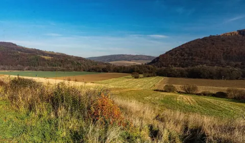 Eladó Mezőgazdasági és erdei telkek, Humenné, Szlovákia