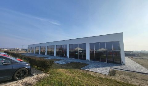 Kiadó Üzlethelység, Üzlethelység, Podjavorinskej, Senec, Szlovákia