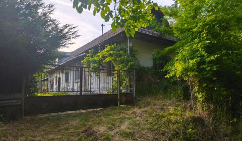 Eladó Családi ház, Családi ház, Veľký Krtíš, Szlovákia