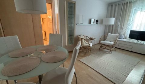 Kiadó 1 szobás lakás, 1 szobás lakás, Lehotského, Bratislava - Staré M