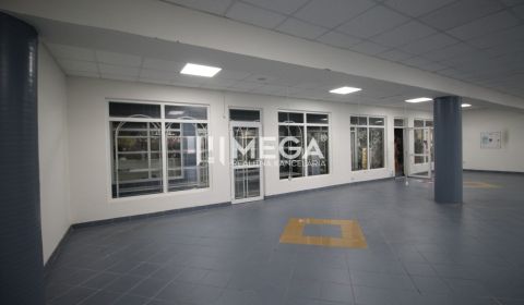 Kiadó Üzlethelység, Üzlethelység, Nám. slobody, Humenné, Szlovákia