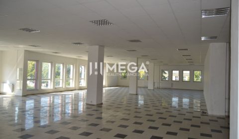 Kiadó Üzlethelység, Üzlethelység, námestie slobody, Humenné, Szlovákia