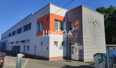 Kiadó Irodahelység, Irodahelység, Lipová, Humenné, Szlovákia