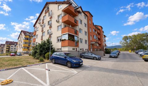 PEZINOK-Tágas 2 szobás lakás loggiával és szekrénnyel | DONA SANDTNERA