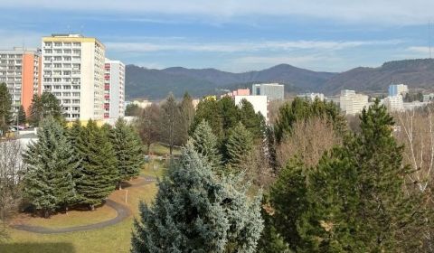 Vásárlás 1 szobás lakás, 1 szobás lakás, Trieda Hradca Králové, Banská