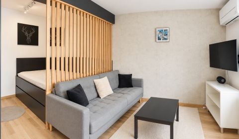 Kiadó 1 szobás lakás, 1 szobás lakás, Česká, Bratislava - Nové Mesto, 