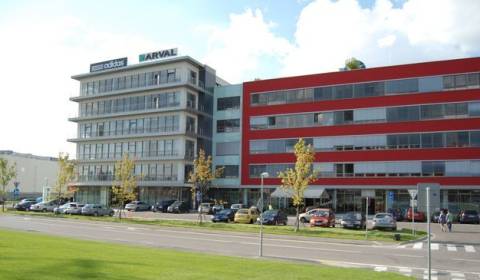 Irodahelység, Galvaniho, kiadó, Bratislava II, Szlovákia