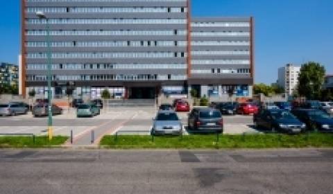Irodahelység, Seberíniho, kiadó, Bratislava II, Szlovákia