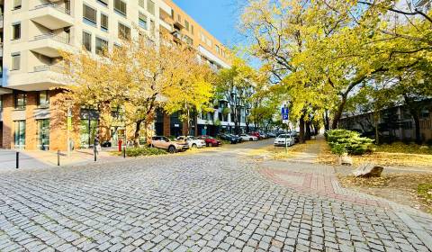 Kiadó 2 szobás lakás, 2 szobás lakás, Blumentálska, Bratislava - Staré