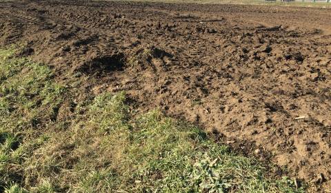 Eladó Telkek - kereskedelmi célra, Telkek - kereskedelmi célra, Trnava