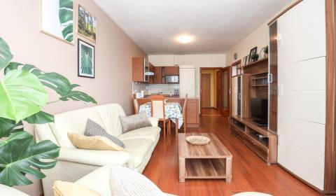 Kiadó 2 szobás lakás, 2 szobás lakás, Jégého, Bratislava - Ružinov, Sz