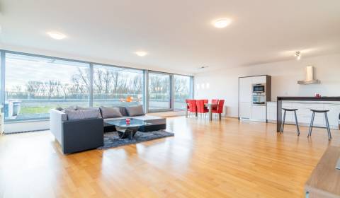 Kiadó 3 szobás lakás, 3 szobás lakás, Karloveské rameno, Bratislava - 