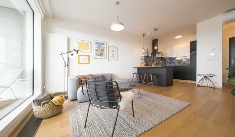 Kiadó 2 szobás lakás, 2 szobás lakás, Landererova, Bratislava - Staré