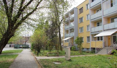 2 szobás lakás, Mikovíniho, kiadó, Košice - Západ, Szlovákia