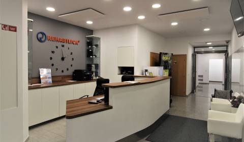 Kiadó Irodahelység, Irodahelység, Grösslingova, Bratislava - Staré Mes