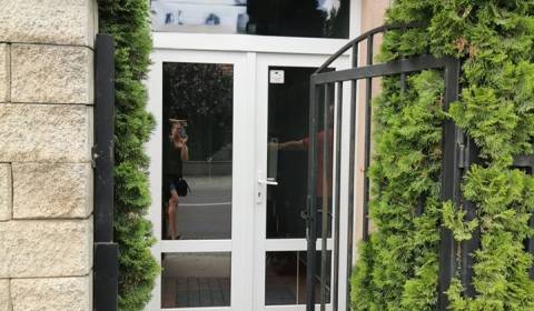 Kiadó Irodahelység, Irodahelység, Šamorínska, Senec, Szlovákia