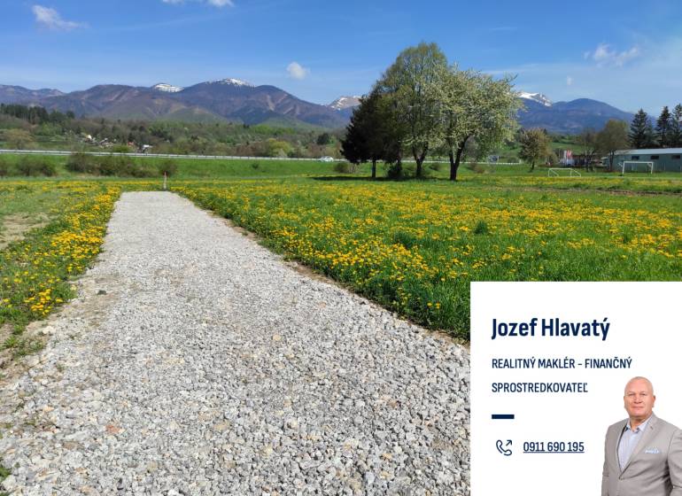 Štrková cesta vedúca cez lúku plnú púpav, ideálna pre pozemky - bývanie.