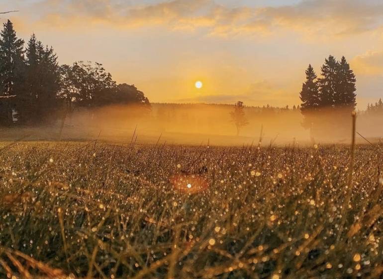 Napkelte a ködös mezőgazdasági és erdős területek felett Ladomirovában.