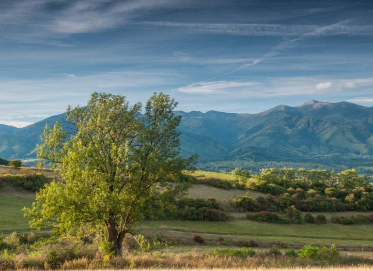 Mezőgazdasági és erdészeti területek Sučany közelében, hegyek panorámájával és egy fával az előtérben.