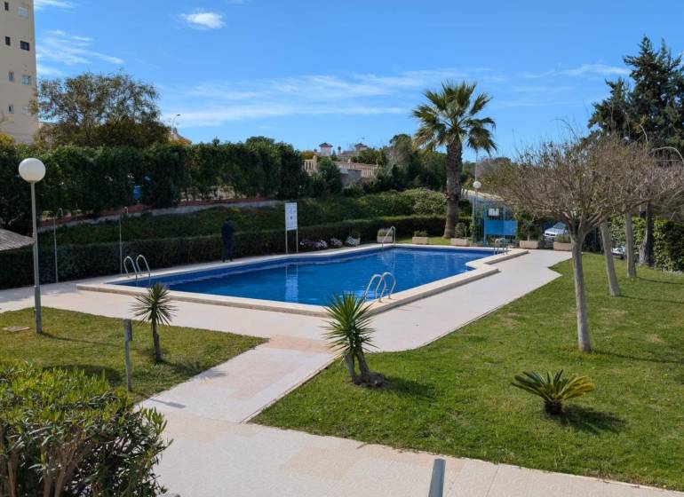 Egy medence zölddel és pálmafákkal körülvéve a Torrevieja Aquiles utcáján.